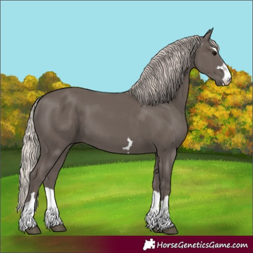 Horse Color:Silver Black