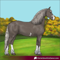 Horse Color:Silver Black 