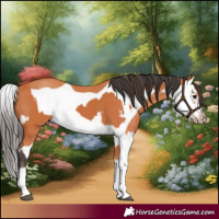 Horse Color:Bay Splash Frame  and Bay Splash Frame Rabicano 