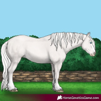 Horse Color:Cremello 
