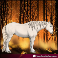 Horse Color:Perlino