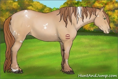 Horse Color:White Spotted Chocolate Bay Pearl Sabino 