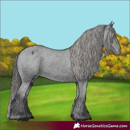 Horse Color:Black Varnish Rabicano