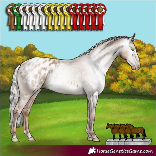 Horse Color:Gray Silver Classic Champagne Appaloosa Rabicano 