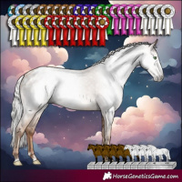 Horse Color:Gray Silver Classic Champagne Varnish Rabicano 