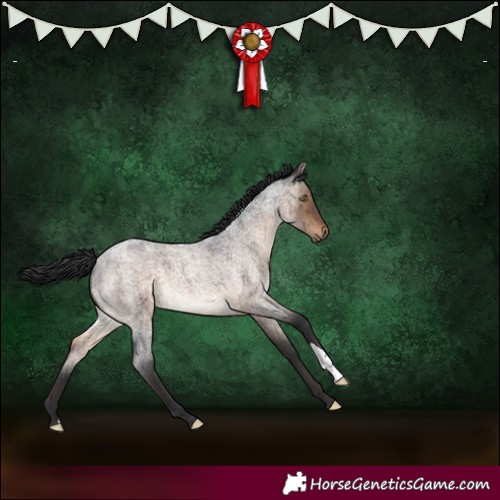 Horse Color:Brown Roan Dun Brindle 