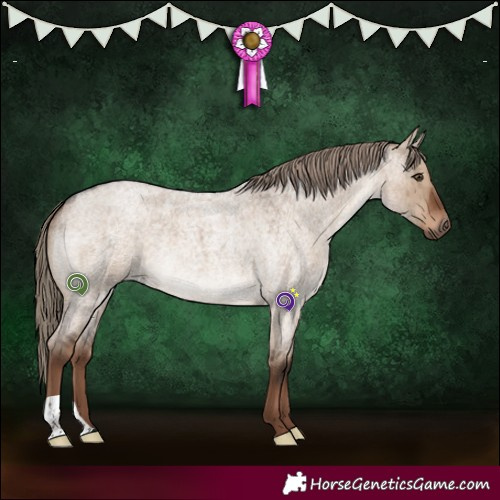 Horse Color:Liver Red Dun Roan Brindle