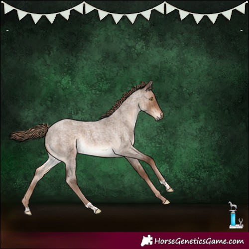 Horse Color:Liver Red Dun Roan Brindle