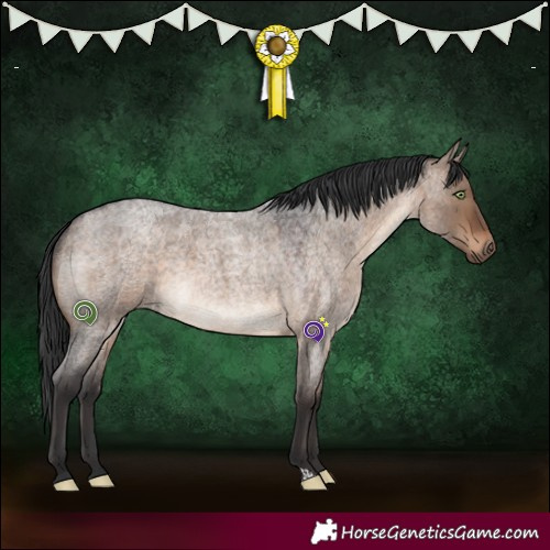 Horse Color:Brown Roan Dun 
