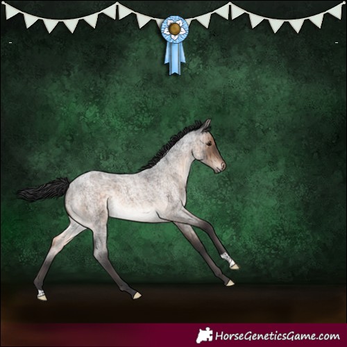 Horse Color:Brown Roan Dun Brindle 