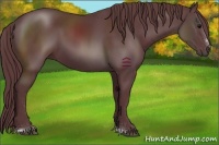 Horse Color:Chocolate Black Sabino