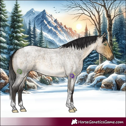 Horse Color:Buckskin Roan Dun Tobiano Brindle 