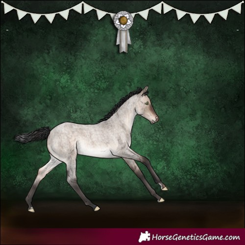 Horse Color:Brown Roan Dun Mushroom Brindle 