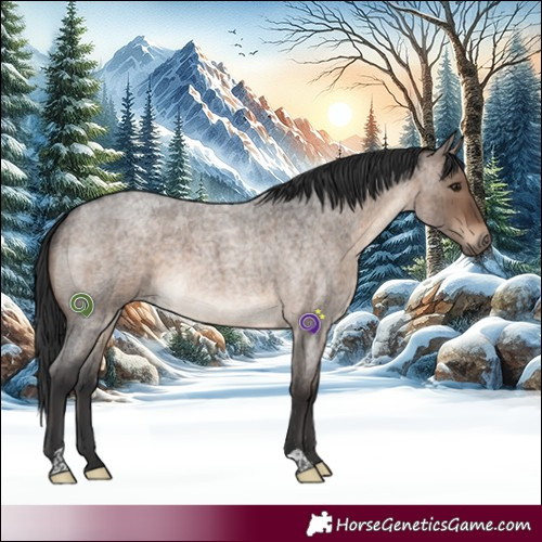 Horse Color:Brown Roan Dun Brindle