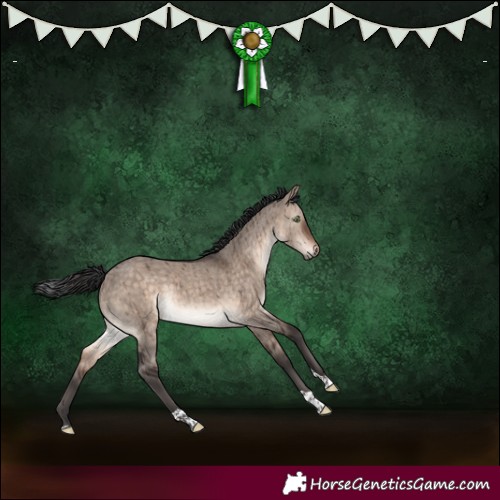 Horse Color:Brown Dun Mushroom Tobiano Brindle