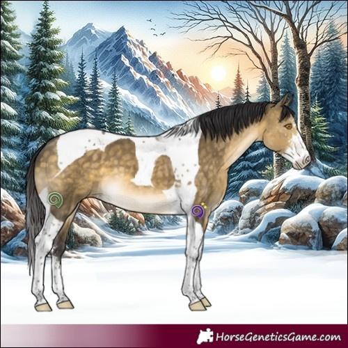 Horse Color:Buckskin Dun Mushroom Sabino Tobiano