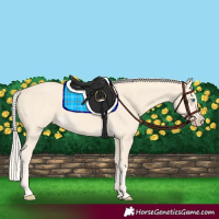 Horse Color:Cremello 