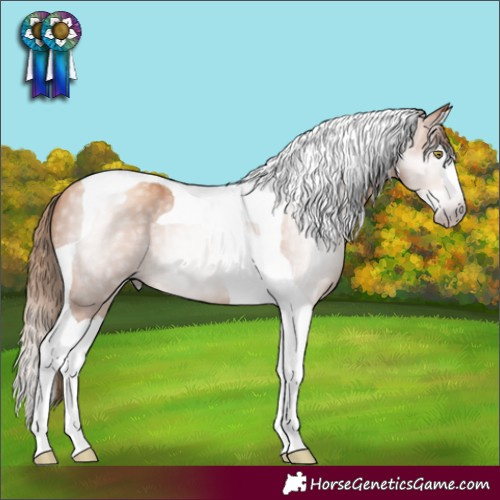 Horse Color:Gray Gold Champagne Splash Tobiano 