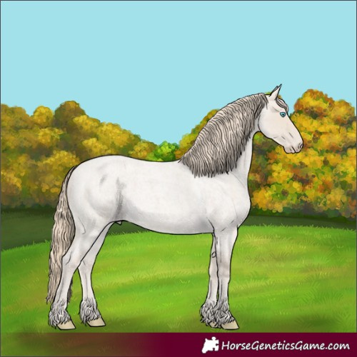 Horse Color:Smoky Creme Roan 