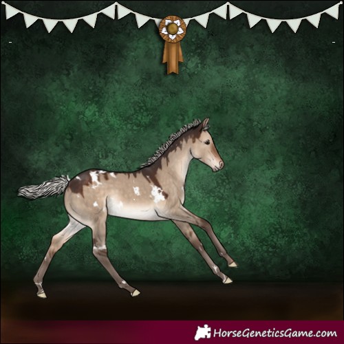 Horse Color:White Spotted Silver Brown Dun 