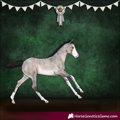 Horse Color:White Spotted Brown Roan Dun Brindle