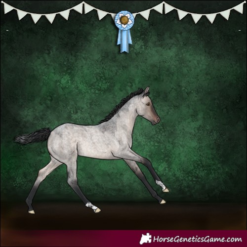 Horse Color:Brown Roan Dun Mushroom