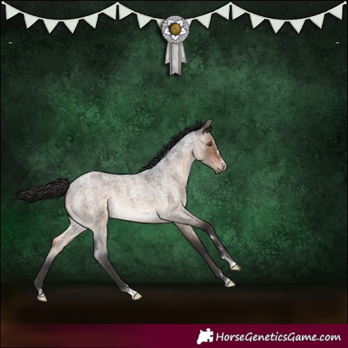 Horse Color:Brown Roan Dun 