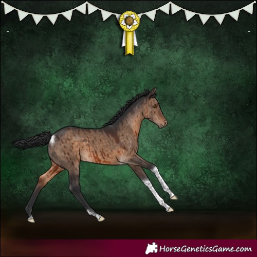 Horse Color:White Spotted Brown Dun Tobiano Brindle