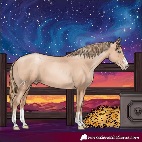 Horse Color:Gold Champagne Pearl Rabicano  and Gold Champagne Pearl Rabicano 