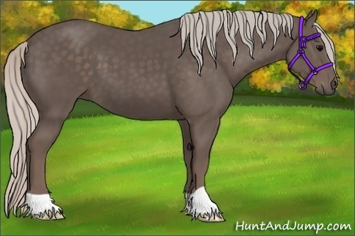 Horse Color:Silver Black 