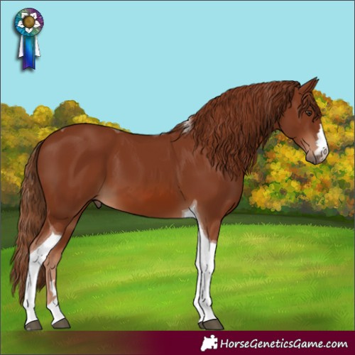 Horse Color:Chestnut Tobiano 