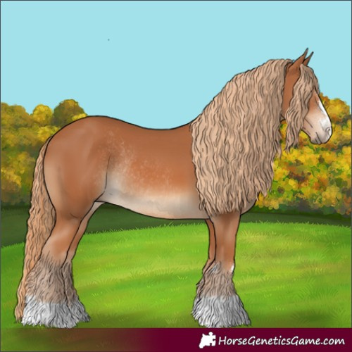 Horse Color:Chestnut Rabicano 