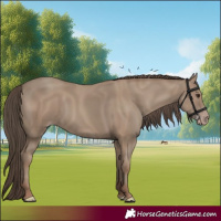 Horse Color:Classic Champagne 