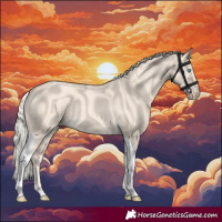 Horse Color:Cremello Tobiano 