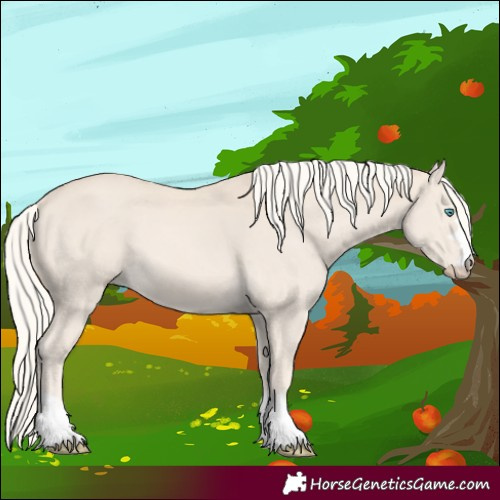 Horse Color:Cremello 
