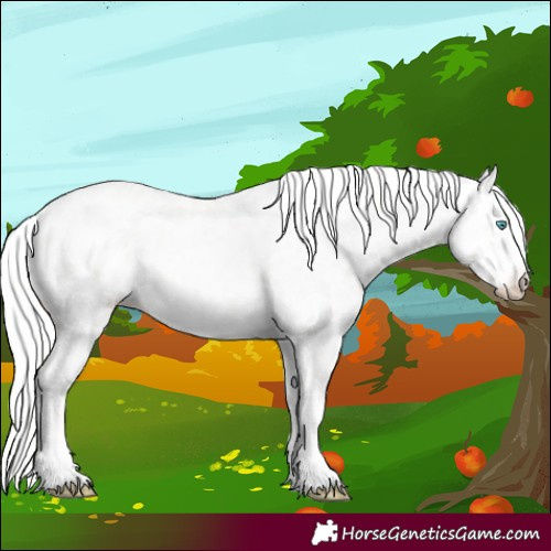 Horse Color:Cremello Near Leopard 