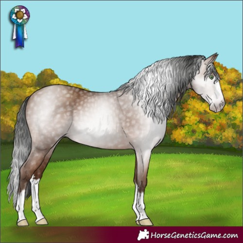 Horse Color:Gray Sable Champagne Splash 