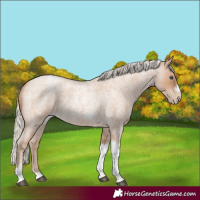 Horse Color:Silver Blue Roan Pearl Tobiano Frame 