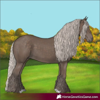 Horse Color:Silver Black 