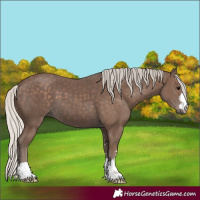 Horse Color:Silver Black 