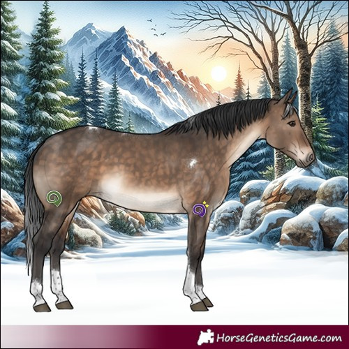 Horse Color:Brown Dun Tobiano 