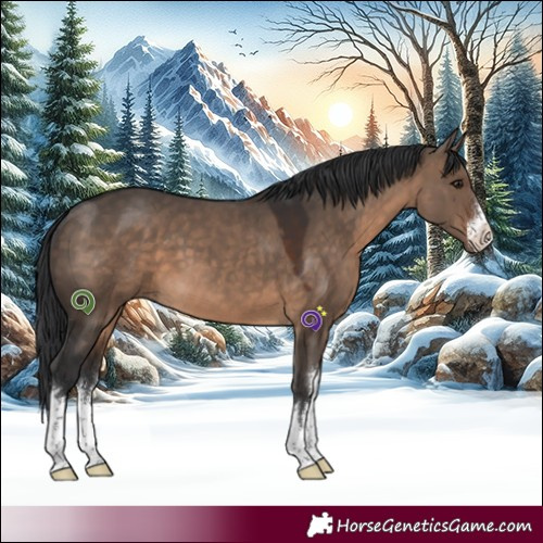 Horse Color:White Spotted Brown Dun 