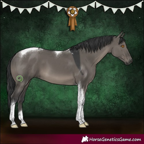 Horse Color:Grullo Tobiano