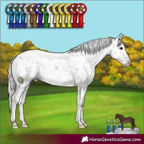 Horse Color:White Spotted Silver Grullo Sabino 