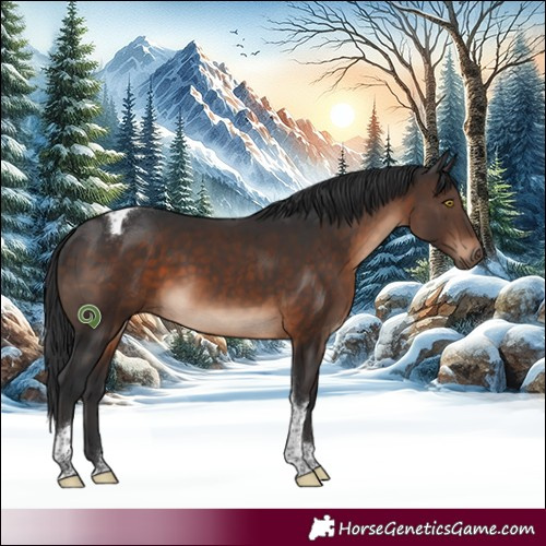 Horse Color:White Spotted Brown Tobiano 