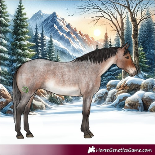 Horse Color:White Spotted Bay Roan