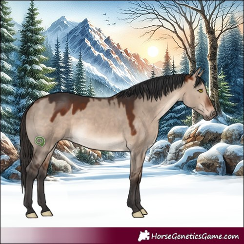 Horse Color:White Spotted Bay Dun Mushroom 