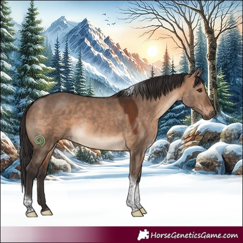 Horse Color:White Spotted Brown Dun Tobiano 