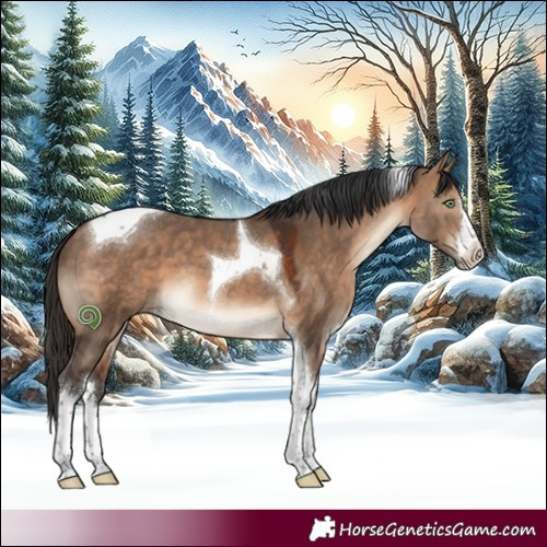 Horse Color:White Spotted Bay Dun Tobiano 