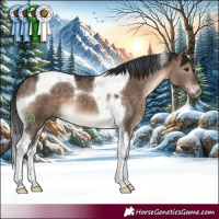 Horse Color:Brown Dun Tobiano 
